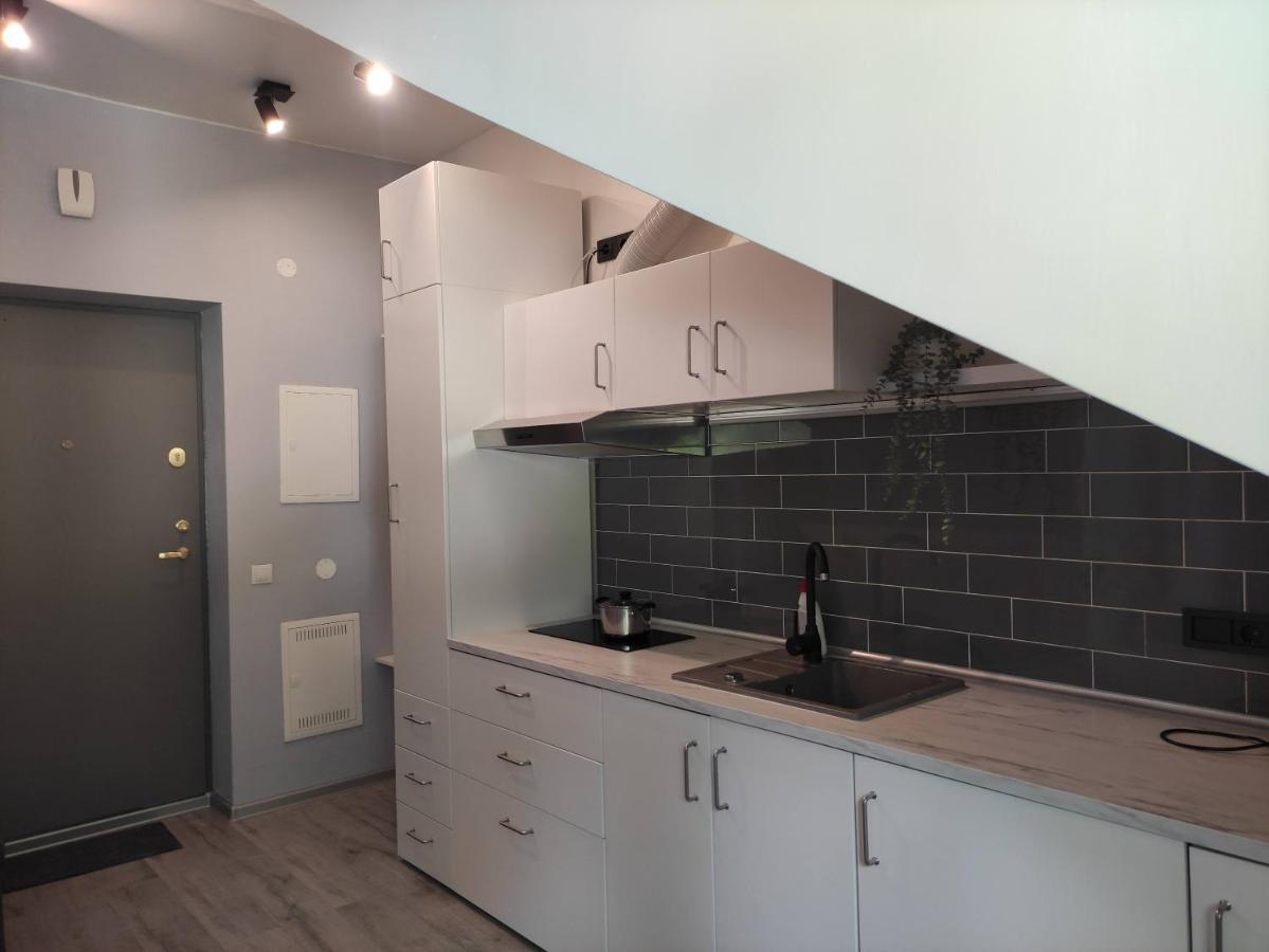 Cosy Apartments In Vilnius Center מראה חיצוני תמונה